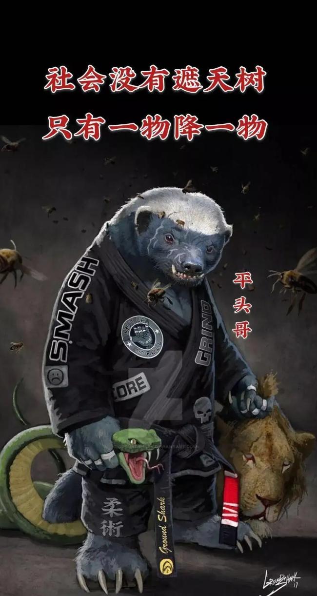 大鹅和平头哥,平头哥最新比赛谁赢了