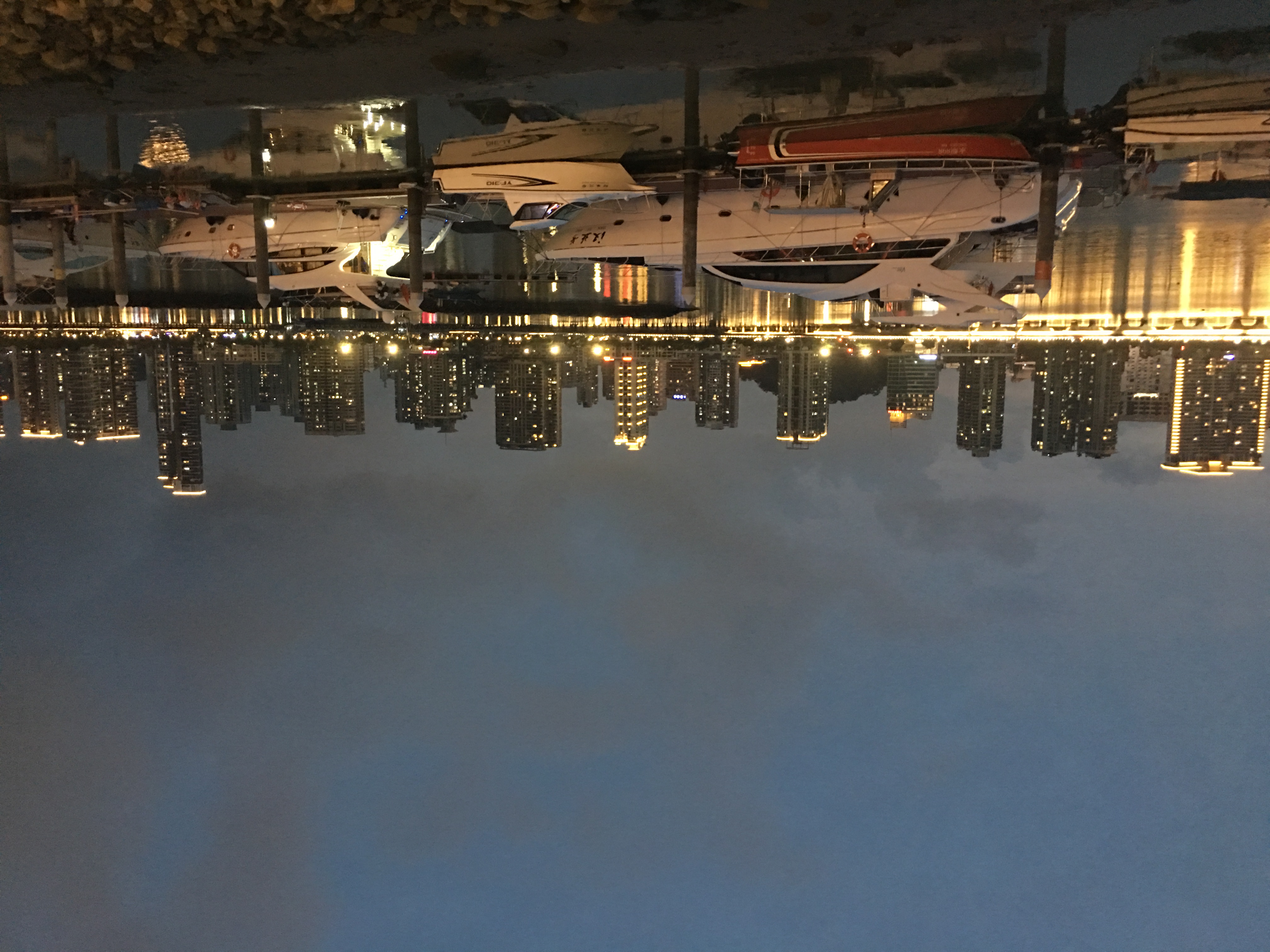 情迷珠海，最美海狸鸟