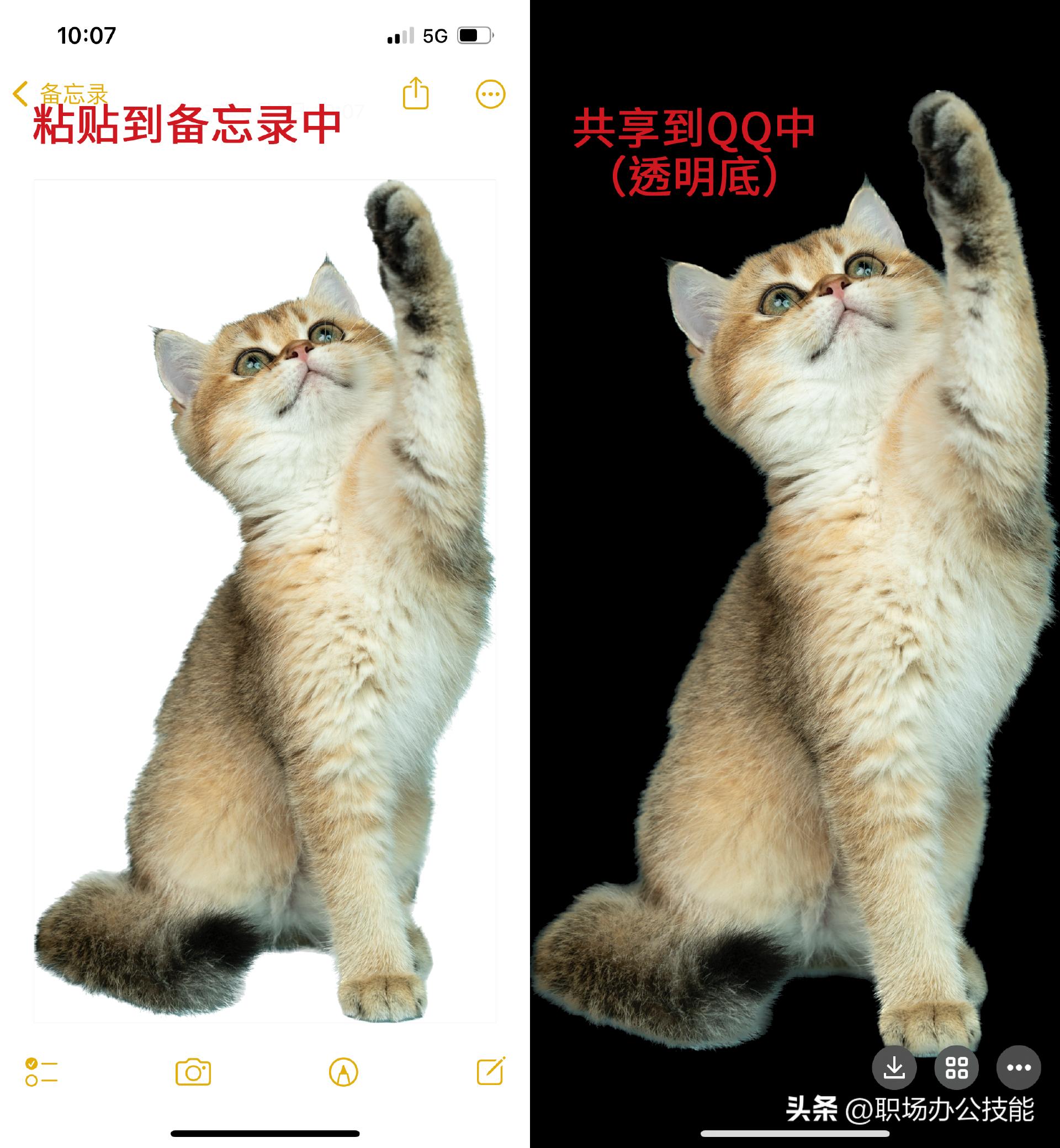 iphone自带一键抠图,iphone怎样设置一键抠图