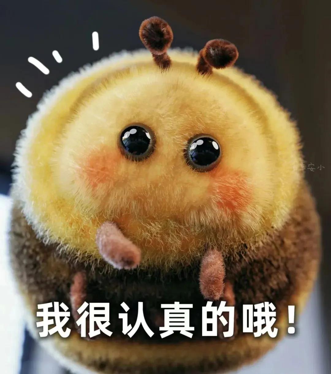 胖头蜜蜂表情,肿脸蜜蜂表情包
