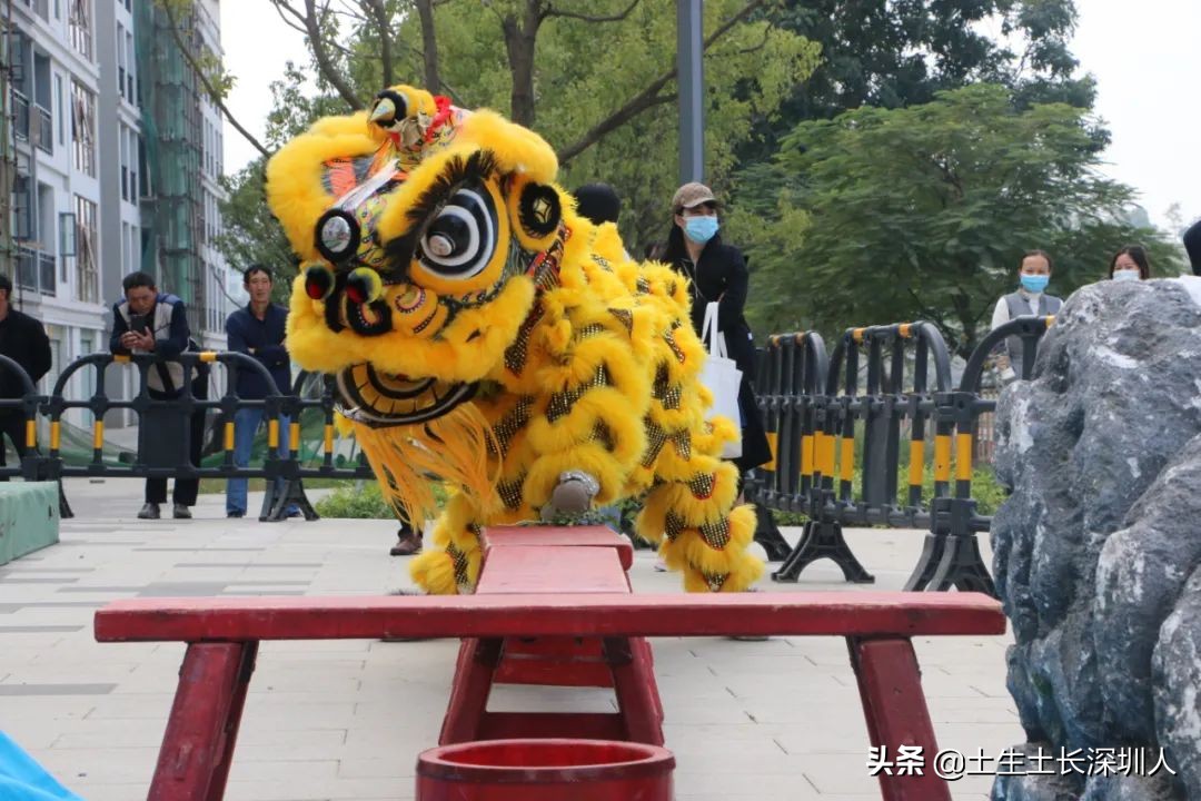 醒狮和瑞狮的区别在哪,醒狮的运动特点