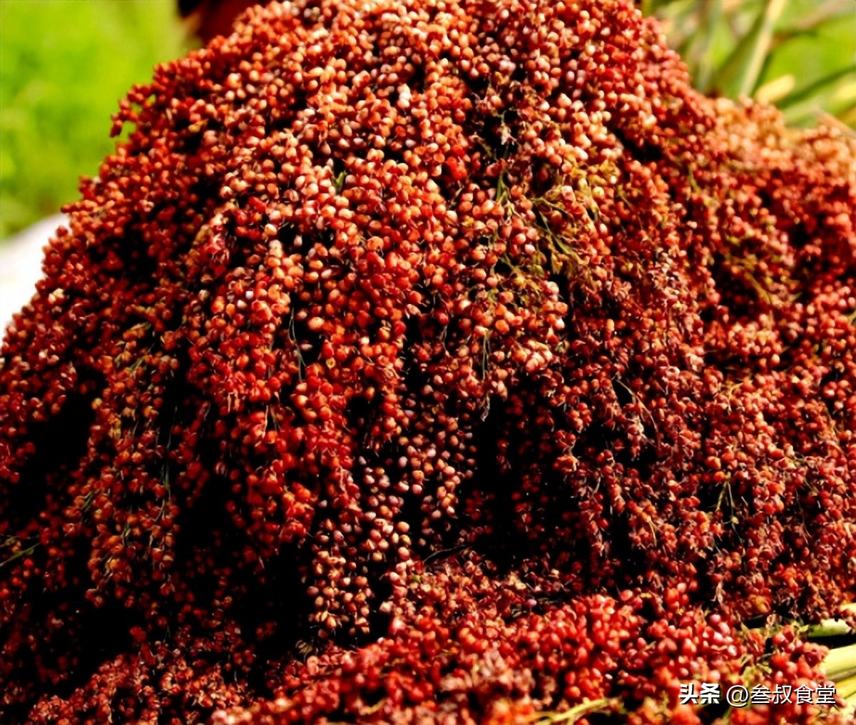 喝完酒后非常口渴是勾兑酒吗,喝完酒后口干舌燥还感觉饿