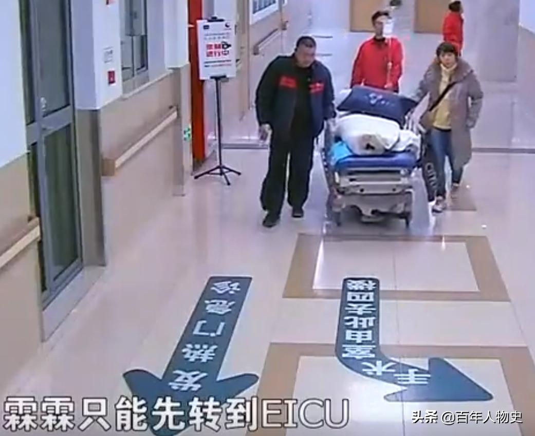 14岁打球高位截瘫男孩现状,14岁男孩打篮球高位截瘫后续赔偿