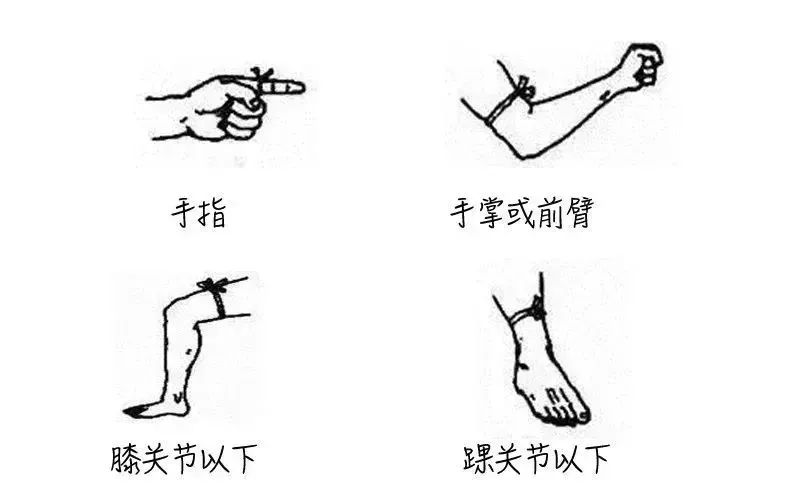 深圳乘车码健康码二合一,深圳公交车乘车码扫码演示