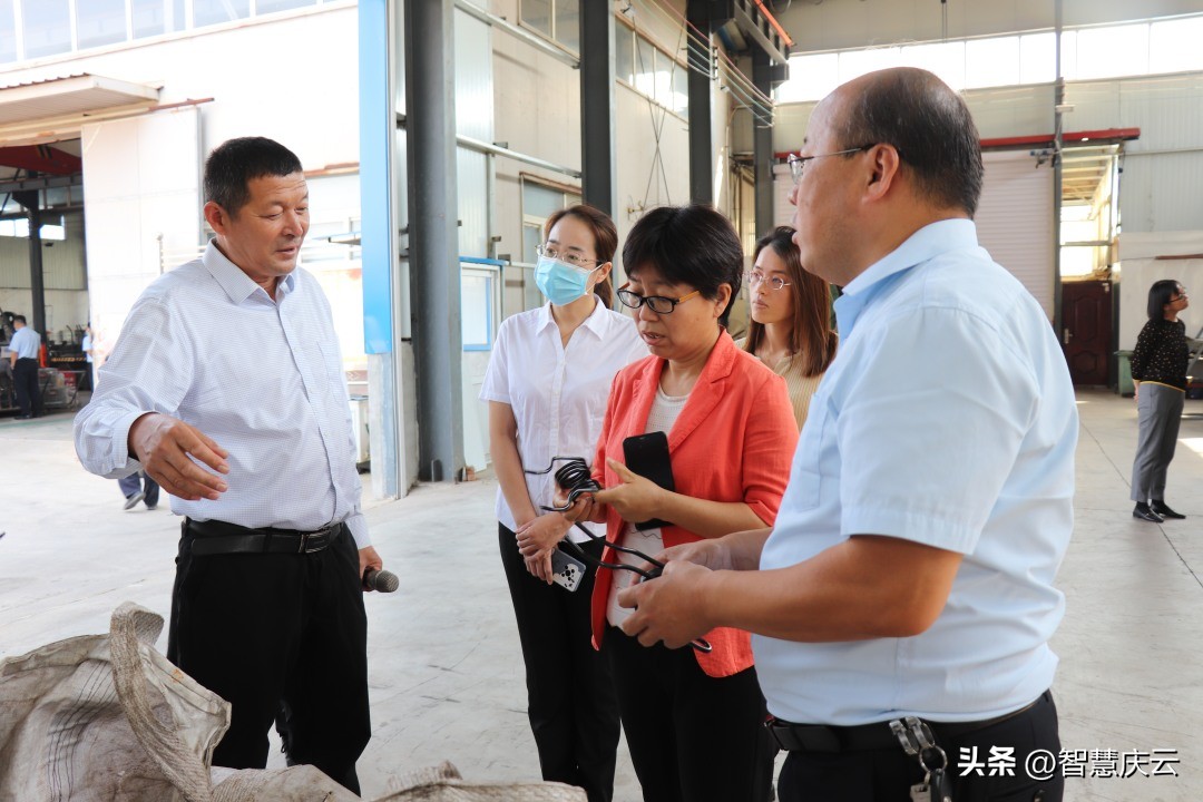 鸿雁归巢助力乡村振兴,鸿雁助推乡村振兴