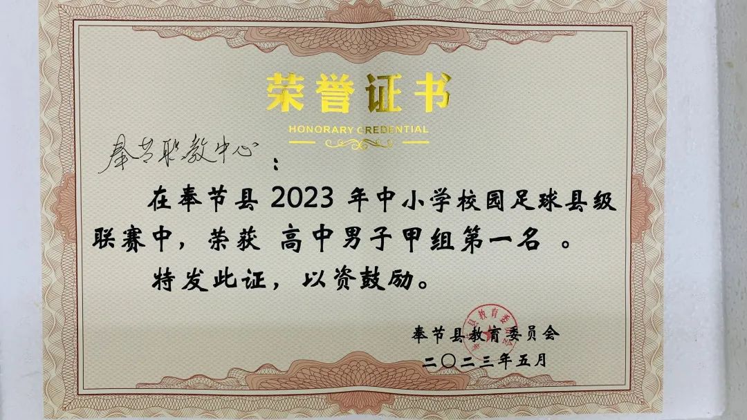 奉节职教中心足球赛,奉节县中小学生足球联赛