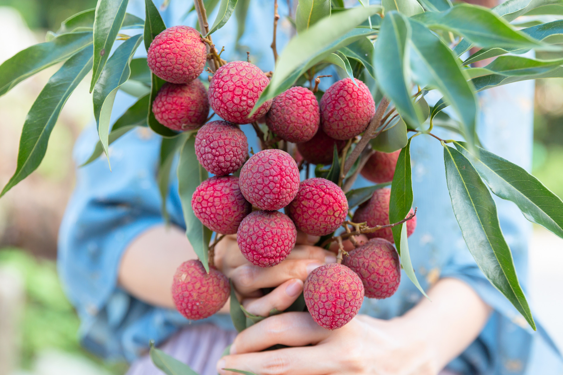 农村这九项补贴千万别错过,农村粮食补贴领取不到怎么办