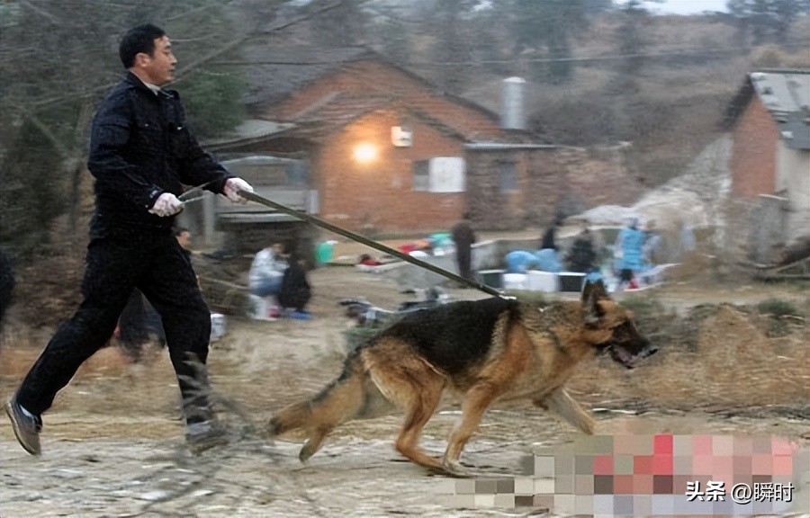 中国十大悬案解析,中国十大悬案真实案讲解