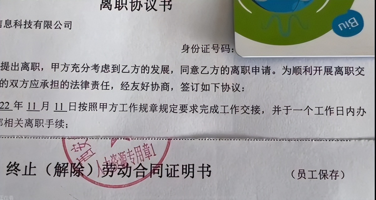 三个月被裁了两次,我决定再也不干外包了