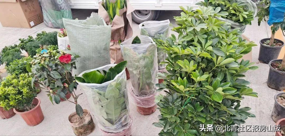 房山长沟大集开集,房山大韩继大集开集日期