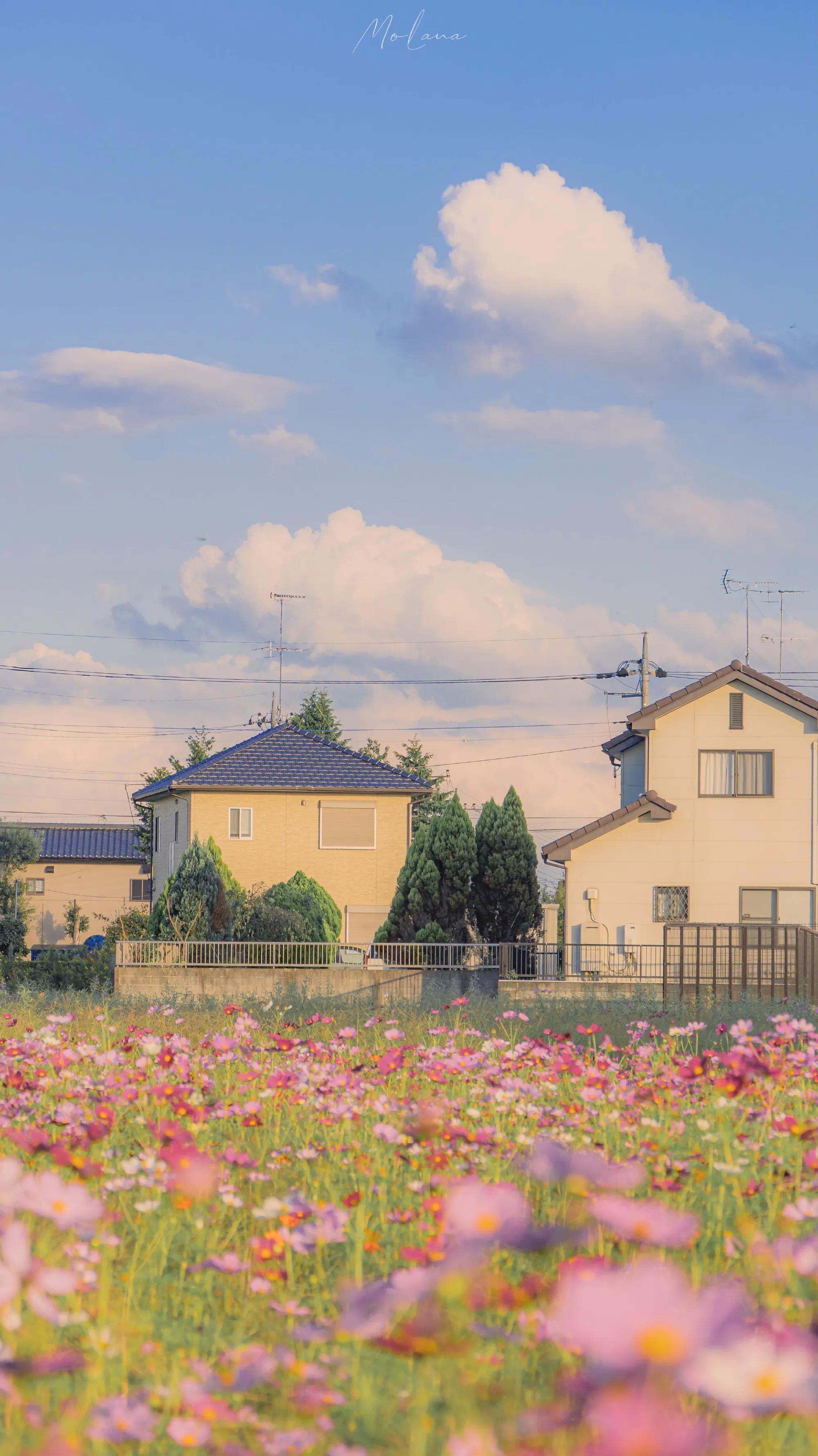 wechat氛围感手机壁纸,wechat背景图片素材