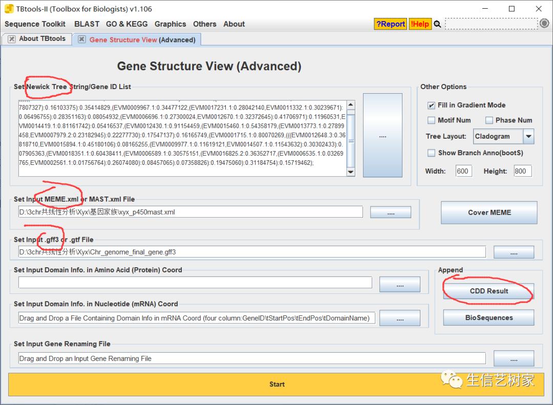 TBtools|基因家族分析,进化树、Motifs、结构域