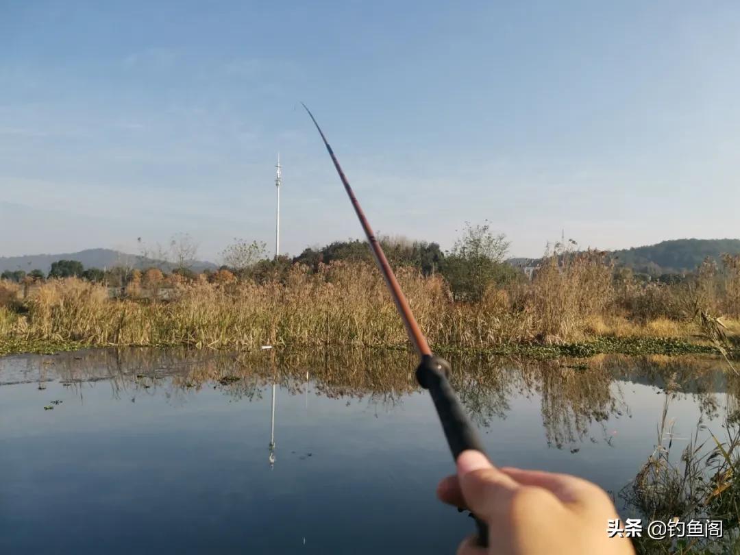 鱼竿选择不要误导新手,普通钓友有必要买上千的鱼竿吗