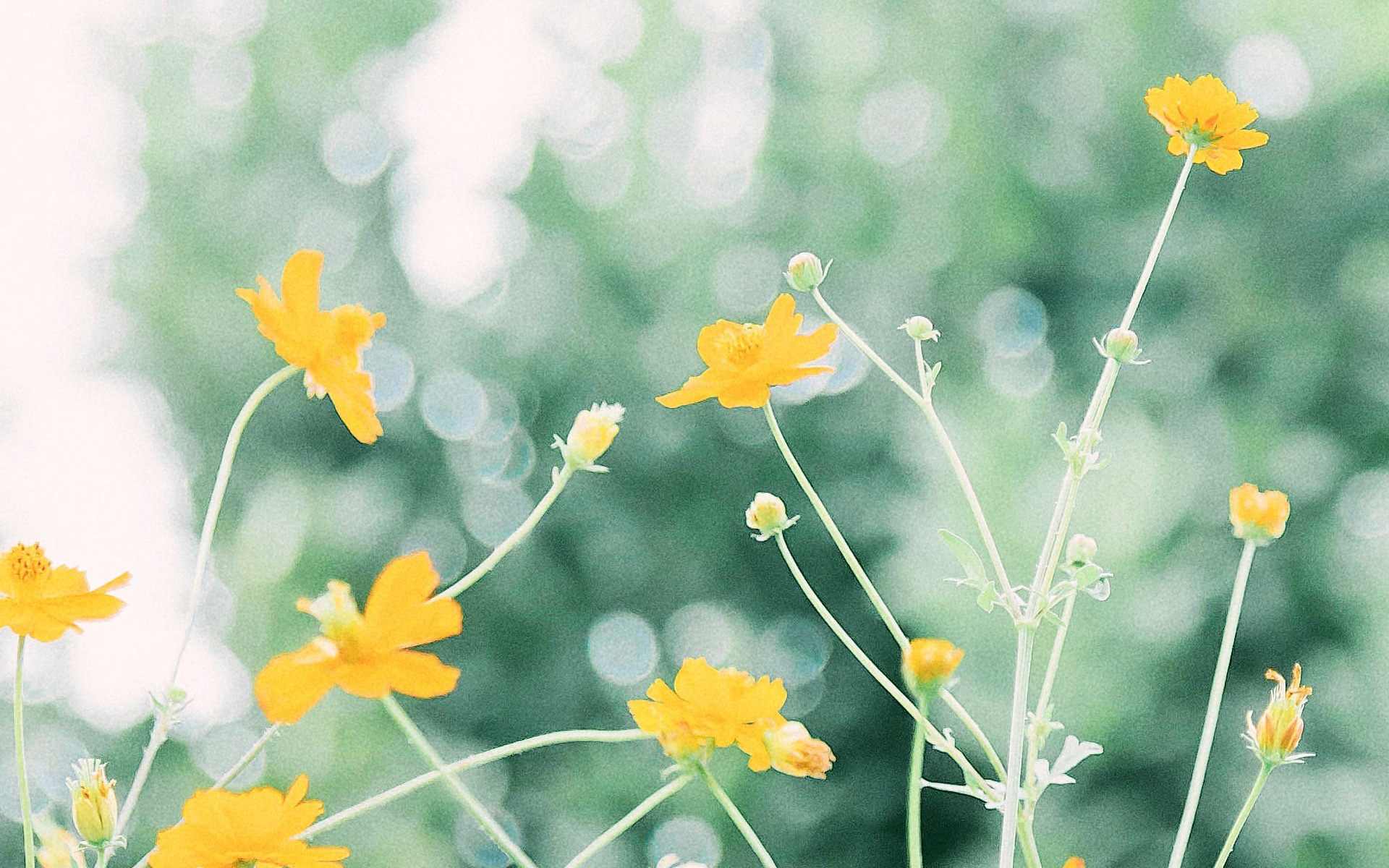 情感故事突如其来的遇见,情感故事邂逅