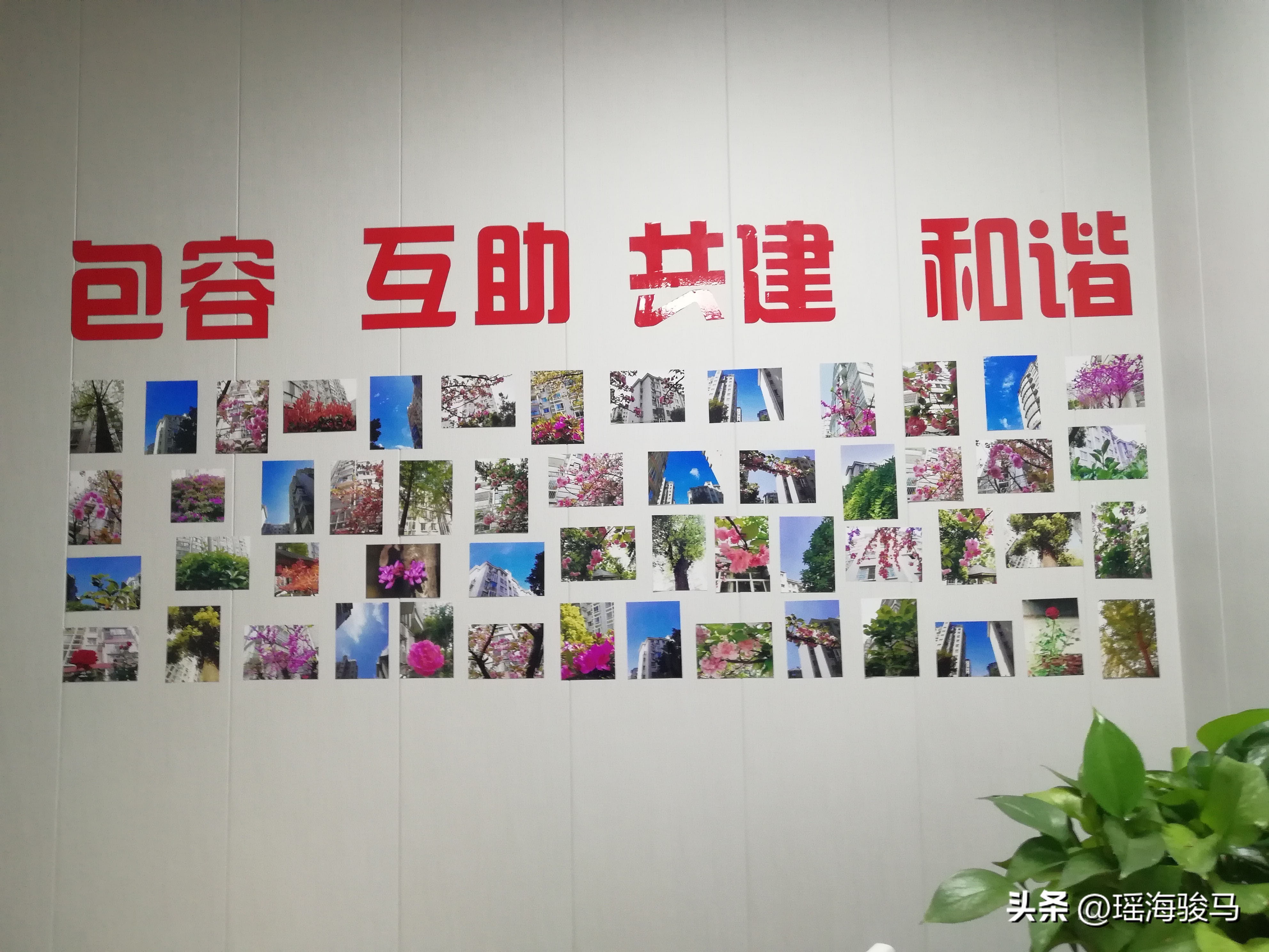 合肥瑶海万豪花园物业电话,合肥瑶海区万豪花园社区