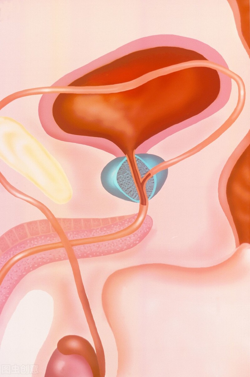 尿不尽还有余尿伴有尿分叉,尿多尿频尿不尽尿分叉怎么解决