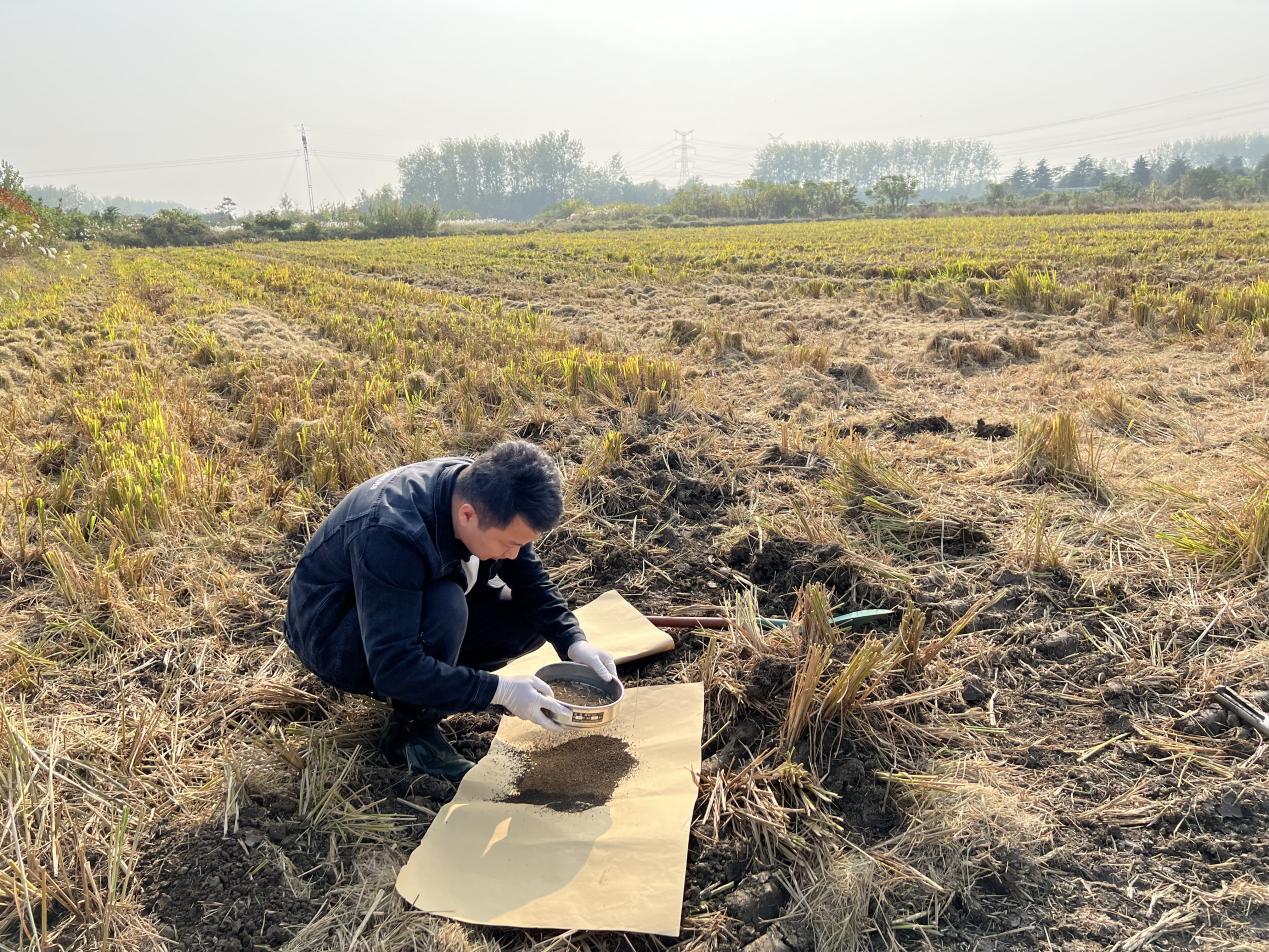 耕地质量实时更新和监测,农田耕地质量监测工作