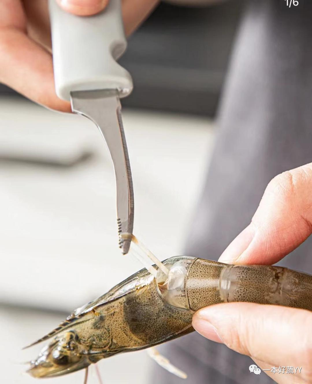 虾头能吃的部位图解,熟虾头哪里可以吃哪里不可以吃