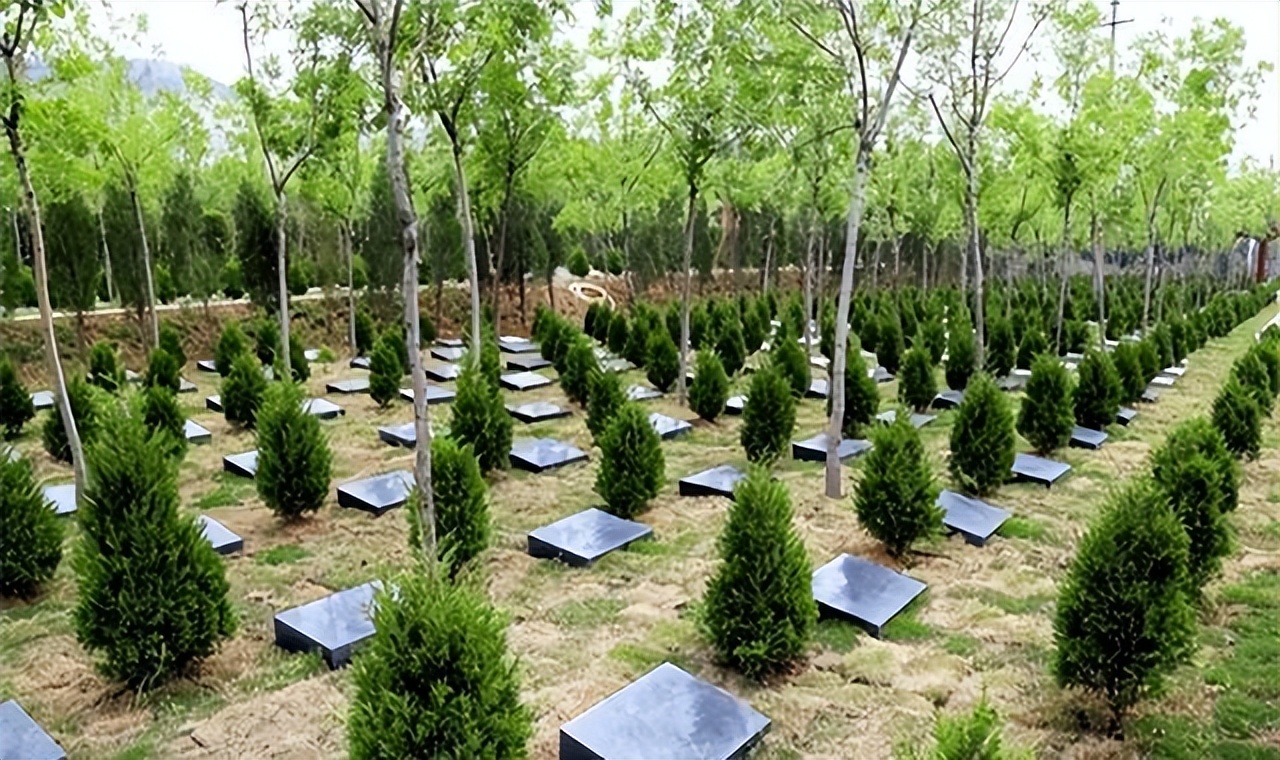 农村平坟新规,农村丧葬改革最新方法