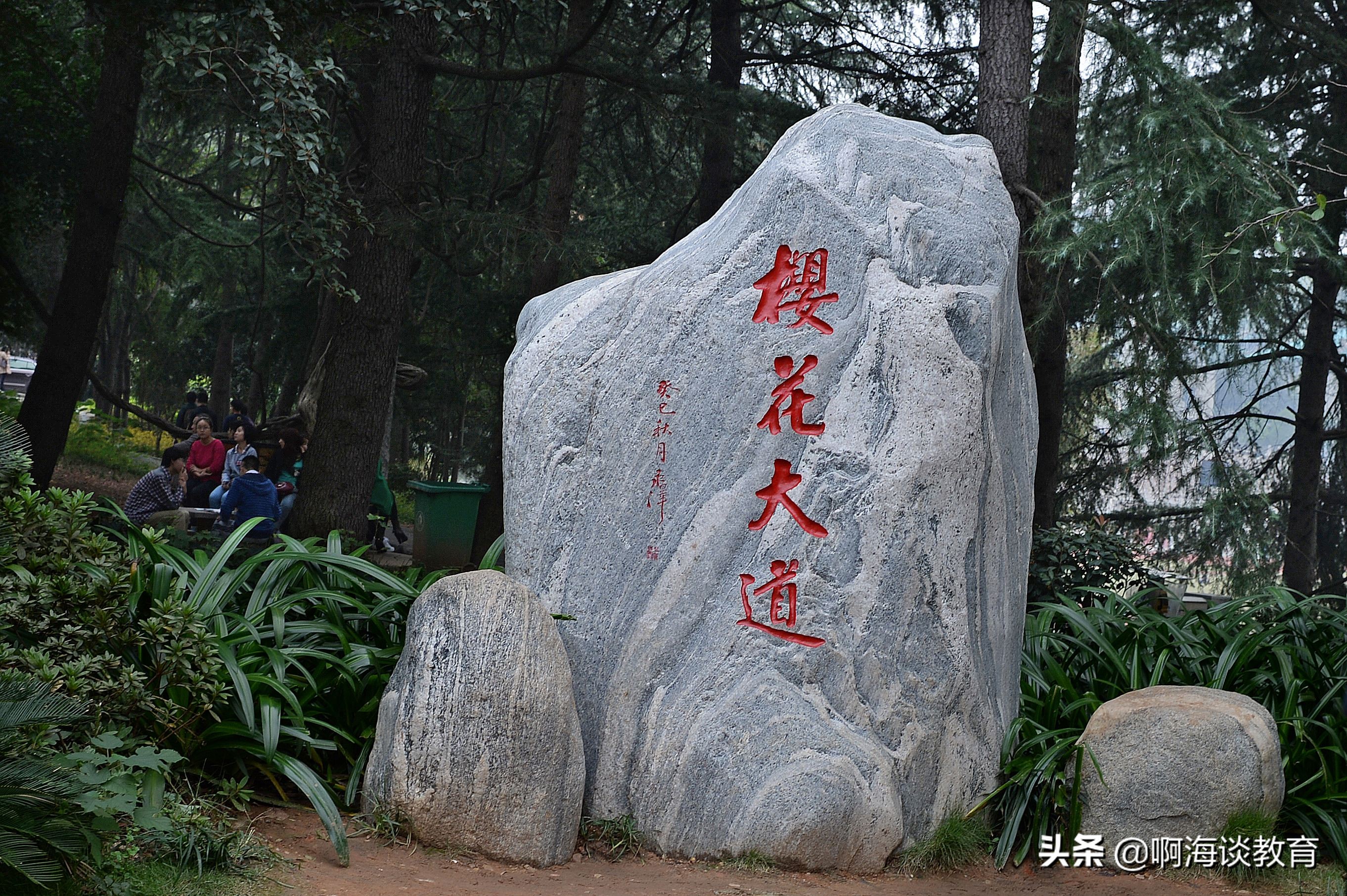 武汉大学和中山大学哪个更强,武汉大学对比中山大学