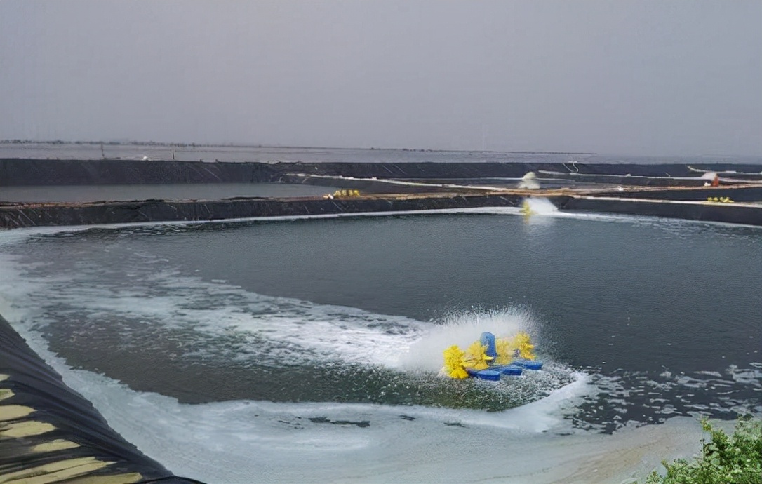 鱼塘防渗膜会不会被小龙虾破坏,防渗膜对鱼塘有什么好处