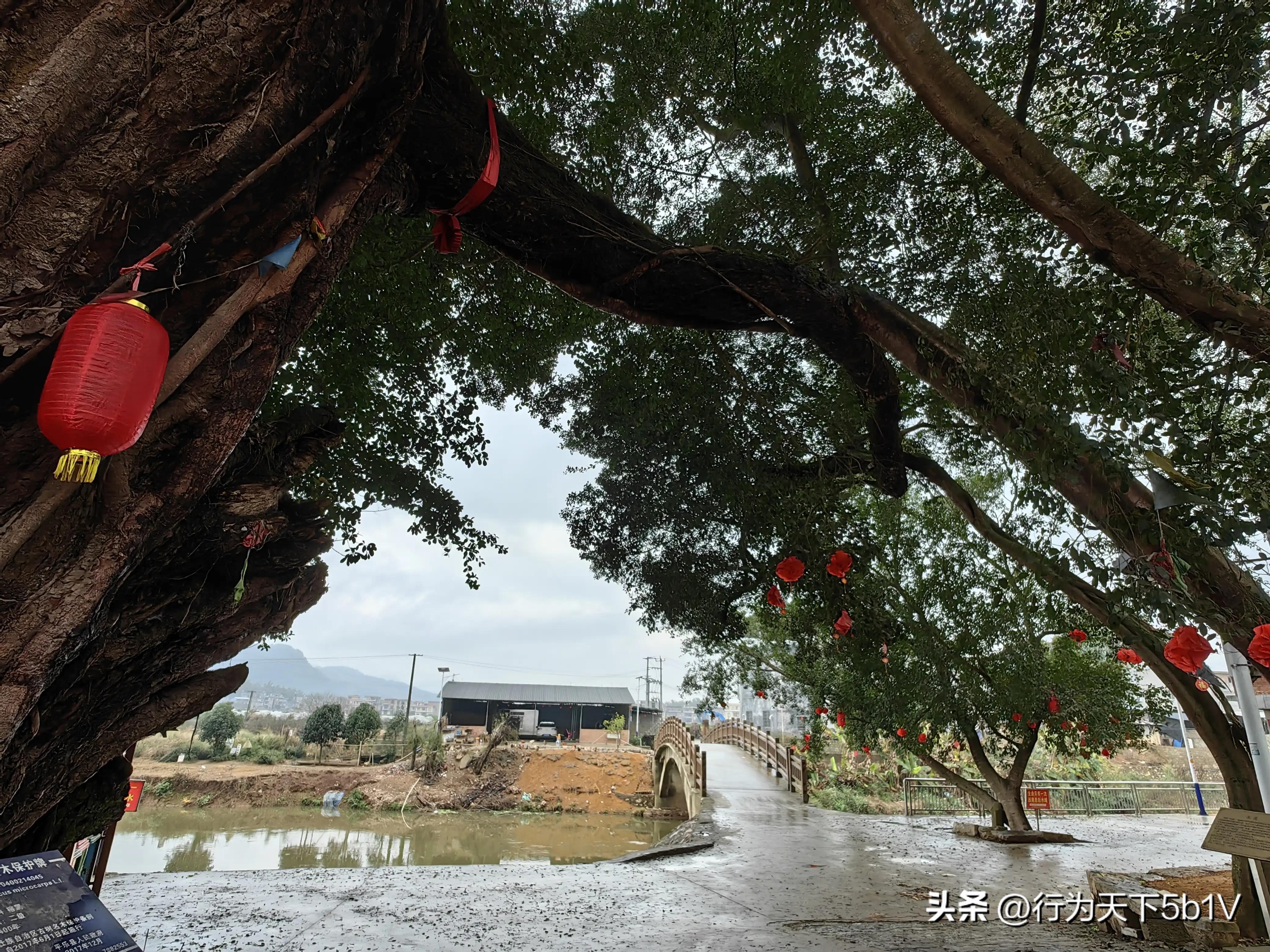 【平乐十里画廊鬼斧神工伟人石像】穿越唐*平宋**乐榕津千年古镇！