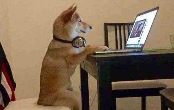 华为鸿蒙wifi网速慢怎么解决,怎样让家里的wifi无法用