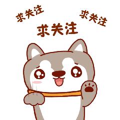 你不知道的二战史,你不知道的历史上最惨烈的战争