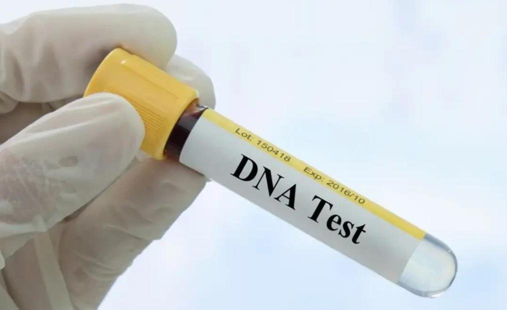 马来西亚华人王丽涓被害案,王丽娜遇害后续