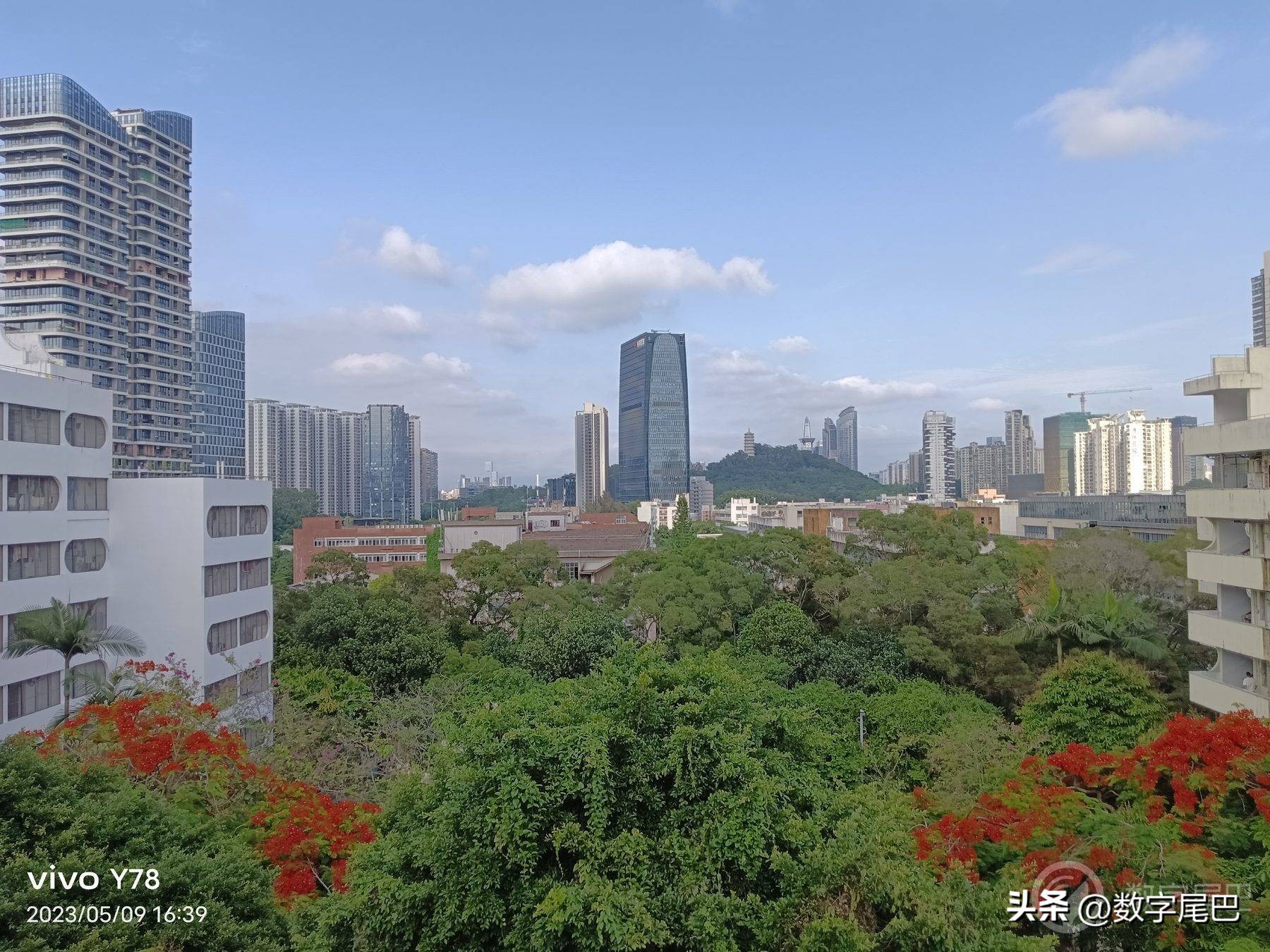 vivoy78测评直屏手机,vivoy78+测评曲面屏