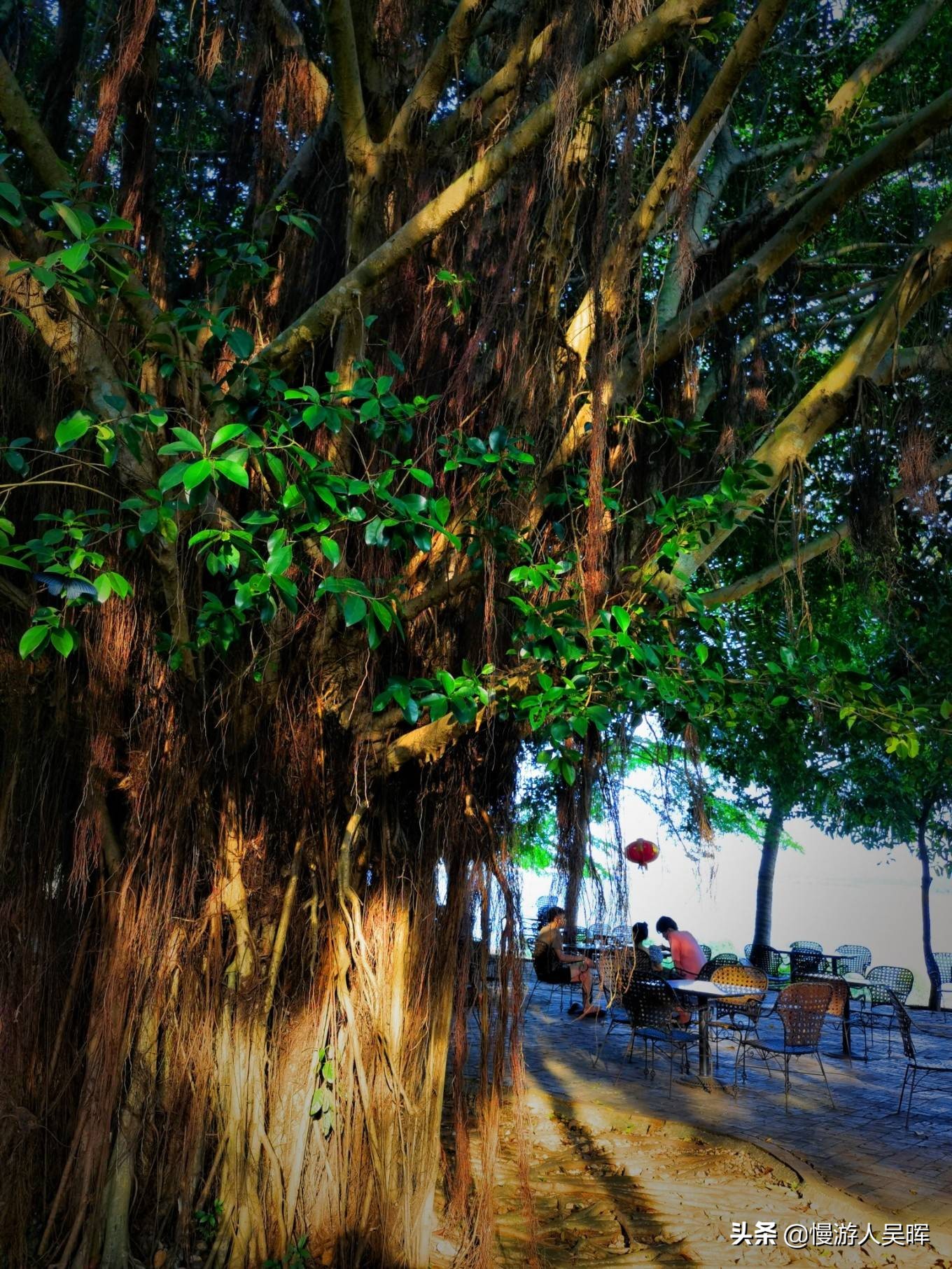 海南环岛游攻略详细行程,海南东线环岛游攻略自由行