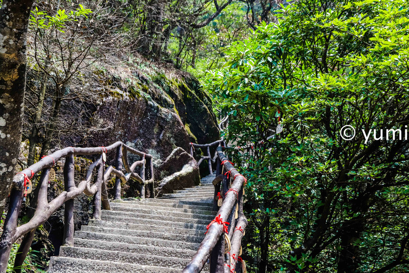 武功山的云中草原,武功山旅游攻略雪景