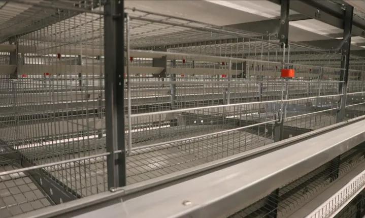 兔场清粪带的设计方案,兔场自动清粪设备什么价格