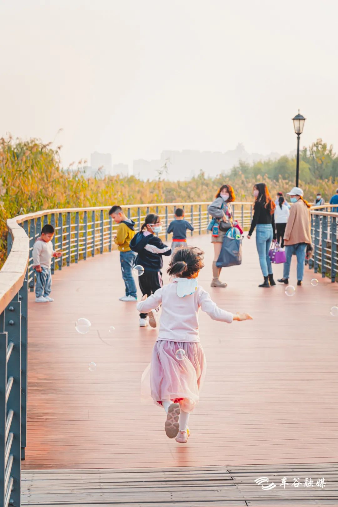 最美绿道骑行攻略,淘金山骑行绿道和东湖骑行绿道