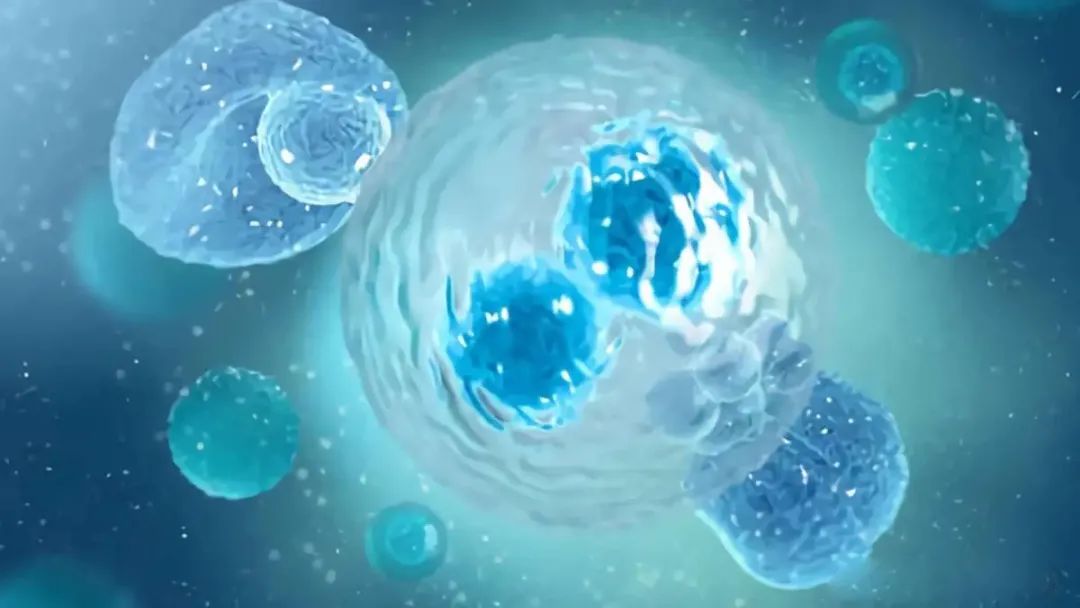 到底该不该储存脐血？超10万英国家庭这样选择