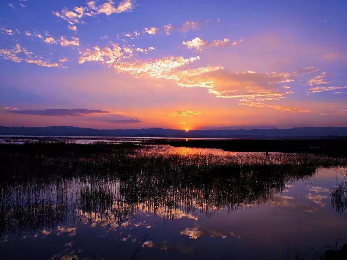 威宁草海观鸟摄影攻略,三大高原湖泊草海