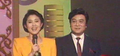 76岁的赵忠祥和倪萍的关系,赵忠祥把10亿遗产给了倪萍了吗