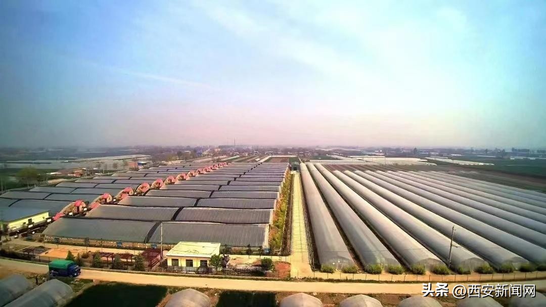 阎良农业园区规划图,西安市阎良区永宏现代农业园区