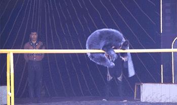 国际马戏小丑嘉年华天津,马戏小丑嘉年华怎么样