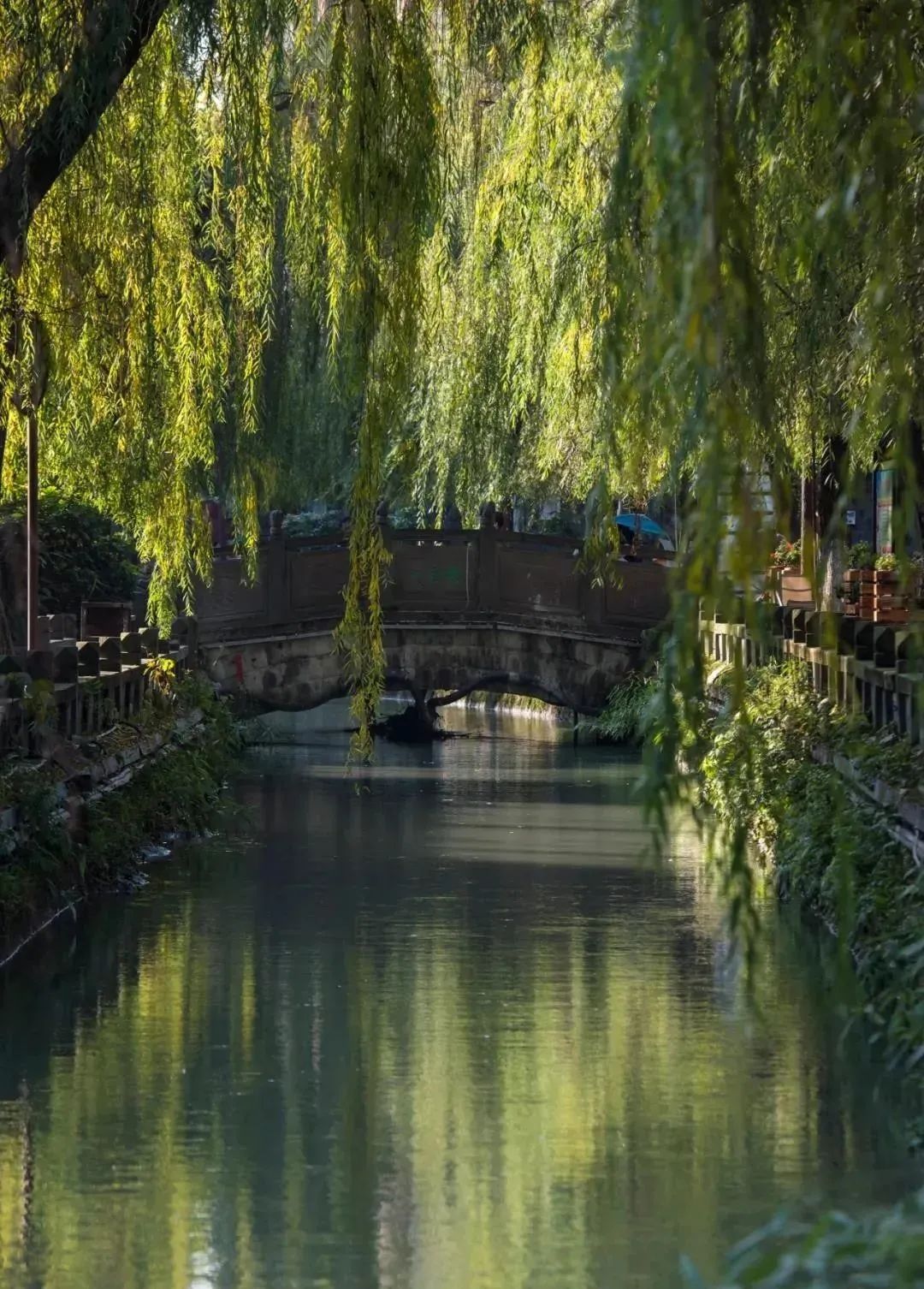 强烈推荐都江堰旅游两日游,成都都江堰一日游景点推荐