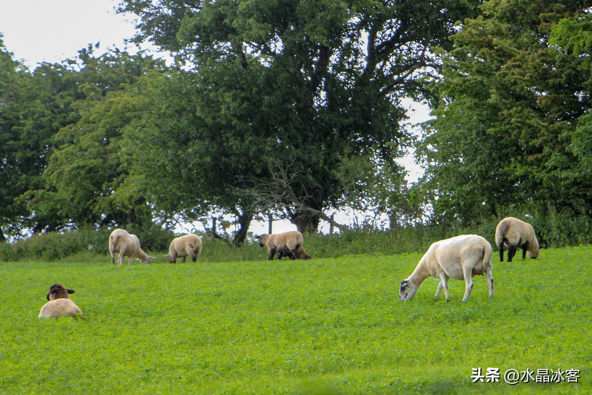 英国行,英国行前攻略