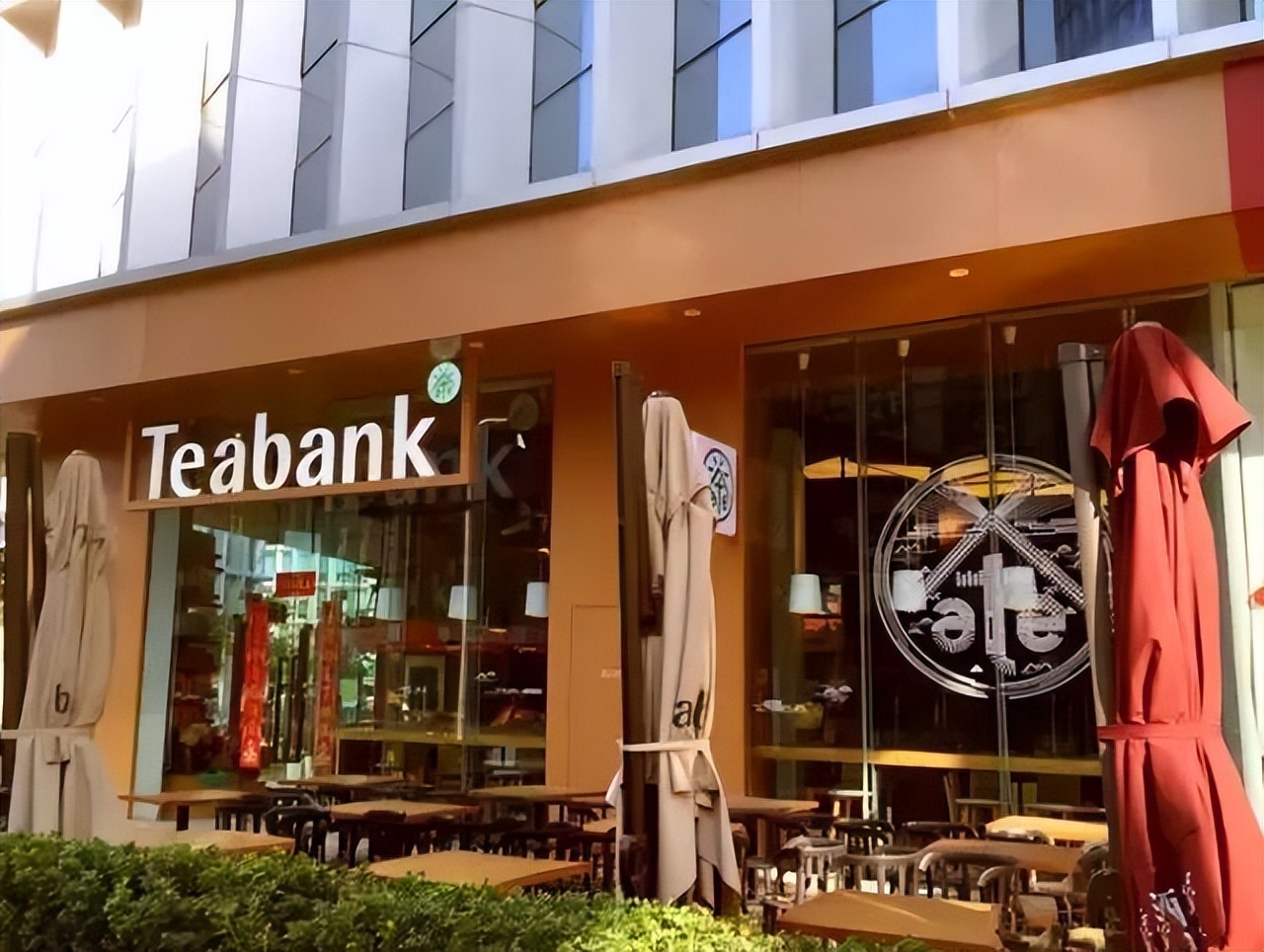 茶语者问答——我怎么走上这条路了？