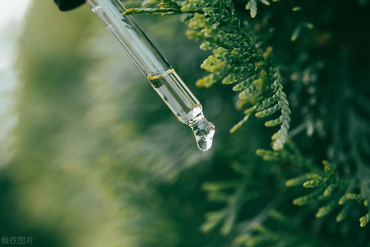 5星级酒店薰衣草精油,五星级酒店都用哪个品牌精油