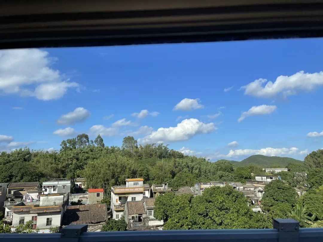 虚开增值税专用票罪司法认定,虚开增值税8000千万缓刑判决书