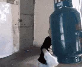 “易孕体质是种什么样的感受？”哇哈哈哈哈太真实了: