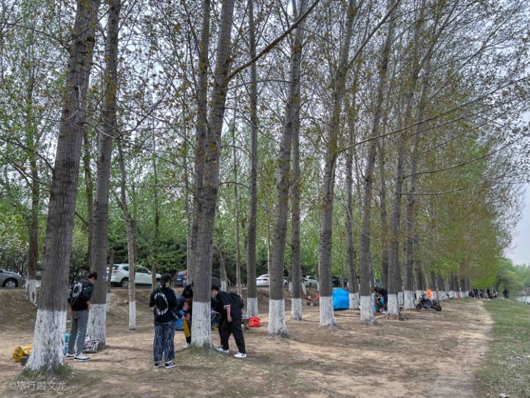 沈阳周边冬季自驾游最佳地点,冬季沈阳附近自驾游最好的地方