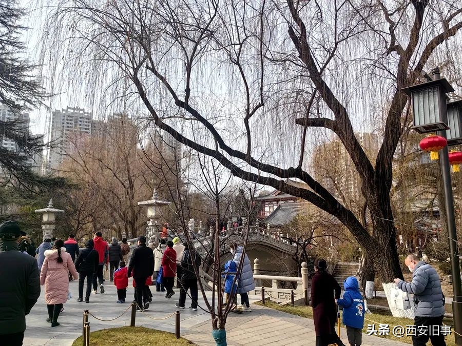 春节西安旅游三天全攻略,春节旅游西安攻略最全推荐