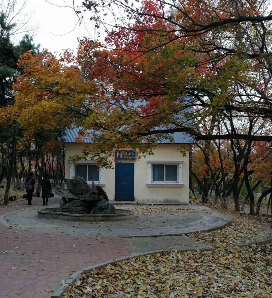 北戴河怪楼奇园景区冬季,北戴河景点怪楼奇园