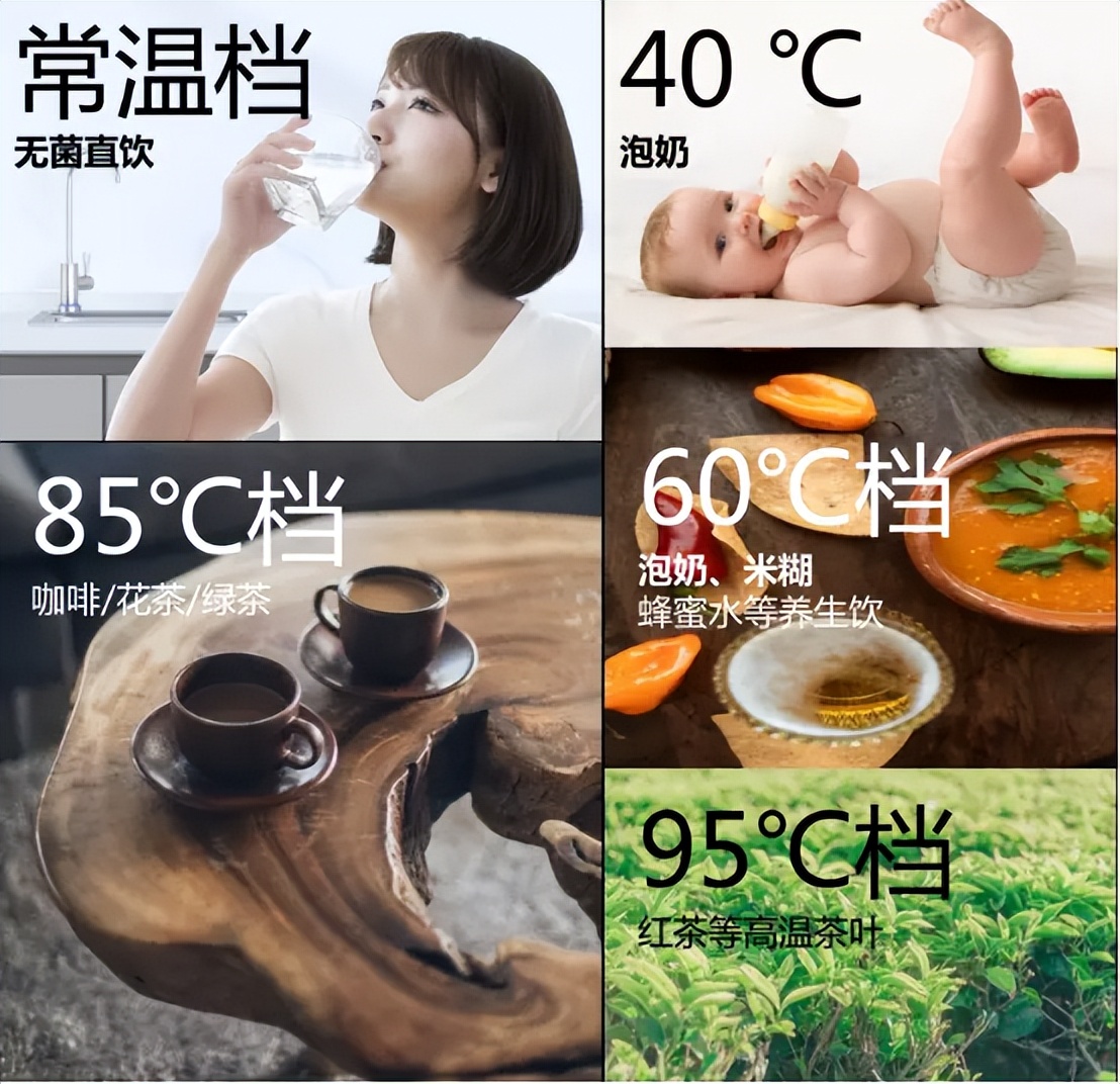 厨房电器好物推荐排行榜,十大必买厨房家电