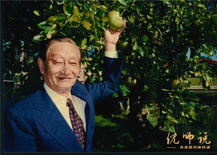 中医鬼才倪海厦的传奇人生,中医鬼才倪海厦传奇一生